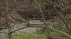 Búrka na východe Slovenska narobila poriadne problémy. Viaceré časti hlásia zvýšené hladiny aj výpadky elektriny