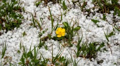 Mrazy sa skončia nečakane rýchlo. Teplota na Slovensku náhle vystrelí na 12 °C
