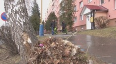 Jar odhalila neporiadok, ktorý zima ukryla