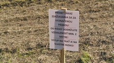 Nehoda na motokrose v Domaniži: Podľa organizátora bolo všetko zabezpečené, často sú problémom nezodpovední diváci