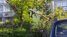 V Košiciach počas búrky privalil strom 42-ročnú ženu