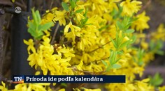 Príroda ide podľa kalendára