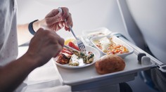 Psie jedlo na jedálnom lístku leteckej spoločnosti. Na nezvyčajnú ponuku poukázal jeden z cestujúcich