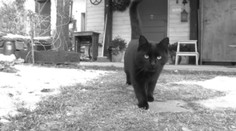 Zajtra je magický piatok 13. Máme sa čoho báť?