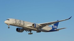 Lietadlo muselo predčasne pristáť. Z podávaného jedla vyskočila myš