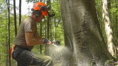 Jeden z najväčších štátnych zamestnávateľov bude hromadne prepúšťať. O prácu prídu stovky zamestnancov