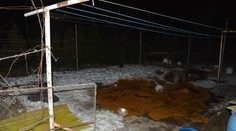 Pri Zlatých Moravciach vybuchla nelegálna pálenica, tri osoby sa ťažko zranili