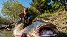 FOTO + VIDEO: Prekonal vlastný rekord. Jakub Vágner chytil sumca, ktorý v českých vodách nemá obdoby