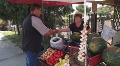 Pri ceste ponúkajú domácu kvalitu a sú čestní. Navštívili sme predajcov ovocia a zeleniny