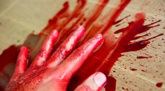 Muža (†40) privalil lis