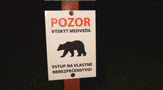 Nazývajú ho slovenský Blair Witch. Vstúpili sme do lesa plného nevysvetliteľných zmiznutí