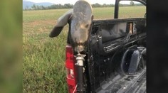 Parašutista si svoj prvý zoskok predstavoval inak. Počas pádu stratil nohu