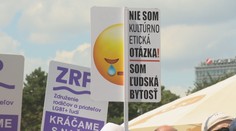 Heslom tohto ročníka je slobodná kultúra. Navštívili sme Dúhový Pride