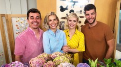 Televízia Markíza podporí najkrajší projekt roka. Prihlásiť sa môže každý