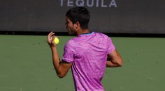 VIDEO: Armagedon na tenise. Roj včiel zamoril štadión počas zápasu dvoch hviezd