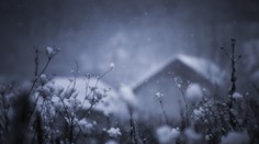 V dnešnú noc vyvrcholí na Slovensku mrazivé počasie