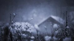 V dnešnú noc vyvrcholí na Slovensku mrazivé počasie