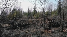 Vypaľovanie trávy si vyžiadalo najvyššiu daň: V plameňoch zahynul dôchodca