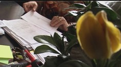 Prešibaná účtovníčka okradla o peniaze už druhú školu. Nikto si to nevšimol