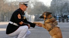 Lucca dostala medailu za statočnosť. V Afganistane prišla o nohu
