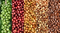 Je zdravá a pomáha srdcu. Vedci zistili, koľko šálok kávy denne prispieva k dlhovekosti