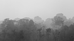 V Brazílii havarovalo stredne veľké lietadlo. Zomreli najmä turisti