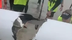 VIDEO: Žralok vyhryzol do kajaku obrovskú dieru, mladíka zhodil do vody