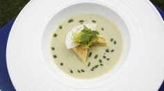RECEPT NA DNES: Brokolicovo–pórová polievka s petržlenovým pestom