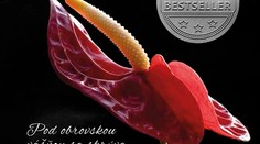 Pod týmto mužom ste ešte neboli