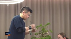 Strom ako umelecké dielo