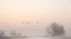 Zajtra nás čaká premenlivé počasie. Potešia nás príjemné teploty?