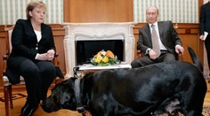 Merkelová opísala psychologické hry mocných. Putin ju zastrašoval, Trump u nej chcel vyvolať pocit viny