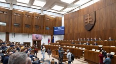 Prieskum: Vo februári by voľby vyhral Smer. Pozrite si, kto by dnes skončil za bránami parlamentu