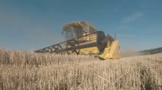 Budú mať z čoho variť pivo? Domácich zásob jačmeňa ubúda