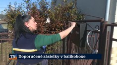 Doporučené zásielky v balíkoboxe