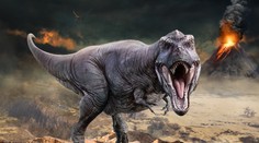 Tyrannosaurus rex mohol byť oveľa väčší, ako si vedci doteraz mysleli