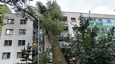 FOTO: Na bytovku v Bratislave sa zrútil obrovský strom. Poškodil balkóny aj fasádu