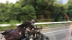 Tak predsa len existuje :-) Koho vám pripomína tento motorkár?