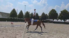 Mimoriadny talent v najmladšej jazdeckej disciplíne. Andrej Meňhert patrí k slovenskej špičke vo voltíži