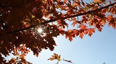 Tohtoročný október patril medzi najteplejšie v histórii. Pripravte sa však na výraznú zmenu počasia