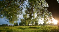 Meteorológovia prezradili aké počasie bude v máji