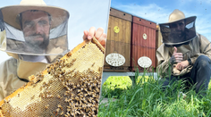 Včelár: Tohtoročná sezóna je slabá a bude čoraz horšie. Zákazník by sa pri kúpe medu nemal pýtať: „Koľko to stojí?“ (rozhovor)
