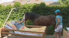 Pomáhajú uzdraviť telo i dušu, Karellovci vedia ako využiť liečivú silu koní