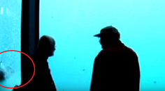 Návštevníci zoo v šoku. Ľadový medveď rozbil akvárium