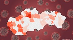 Pribudlo ďalších 14 Slovákov s koronavírusom, sú medzi nimi aj ľudia z karantény v Gabčíkove