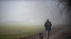 Pravidlo 6-6-6 sa na internete stalo hitom. Ľudia vravia, že si vďaka nemu zamilovali chôdzu