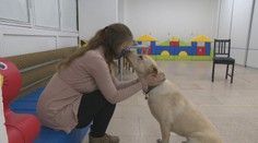 Linda trpí vzácnou fóbiou. Aj keď spĺňa kritériá, štát jej asistenčného psa nepreplatí