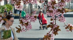 Konečne dobrá správa. Jarné teploty sa blížia