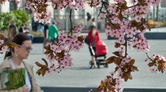 Konečne dobrá správa. Jarné teploty sa blížia