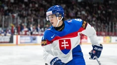 Nádejný slovenský mladík sa vracia zo zámoria. Na zmluve sa dohodol s českým extraligistom